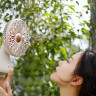 Вентилятор портативный Xiaomi Sothing Bridal Bouquet Fan DSHJ-S-2113 розовый